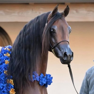 nn00076's profile picture. 