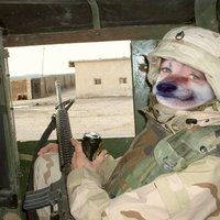 Barnett_101 (@barnett_556) 's Twitter Profile