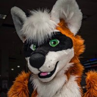 Vigi! (@raccdoggo) 's Twitter Profile