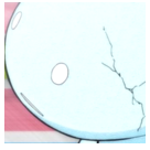 白江幸司 (@ttt_cellule) 's Twitter Profile Photo