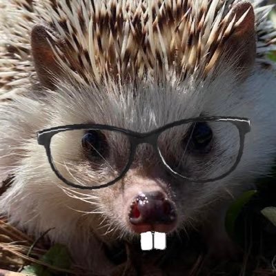 Sagernさんのプロフィール画像