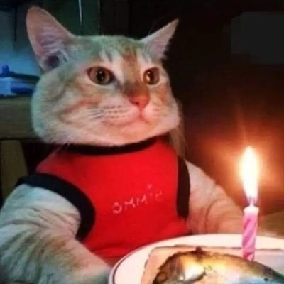 RaulTotocayo's profile picture. ....