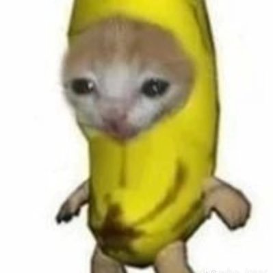 pmcampiao's profile picture. 