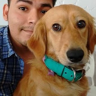 Ainard L.さんのプロフィール画像