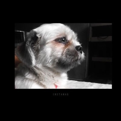 roulette1991's profile picture. Everything here is all about some Random things that we can relate to. ❤️