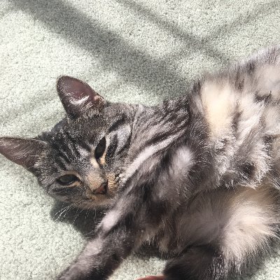 Kerry20150308's profile picture. 