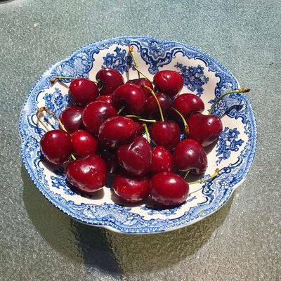 nicbdm's profile picture. h
