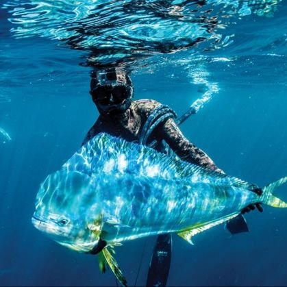 rizrazle's profile picture. 