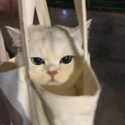 yourxxnemesis's profile picture. 📚💡 JSL