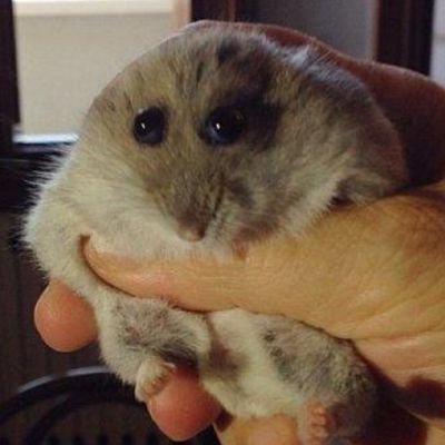 Molly5547331702's profile picture. 