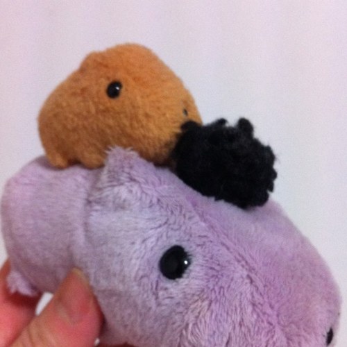 nitachanakachie's profile picture. みなさんこんにちは美容師歴19年。4歳の頃から親の美容室にて技術を見たり真似したりと幼少期を過ごし、銀座、表参道や原宿、池袋にて修行の後、現在は、自分の店を開業3年目。中央区日本橋人形町で美容室 ちえのわ(o^^o) 宜しくお願いいたします。