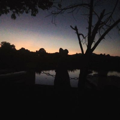 yayitamtz420's profile picture. 