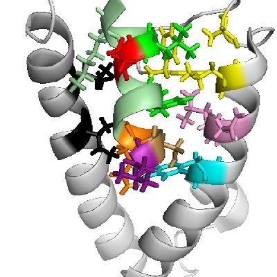 Transcription, Genetics and Evolution