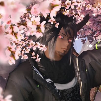Ark member Rain Silver Muchizuki reporting for duty, Long time Arks member since 15yrs of age now 30 and soon to be Arks Streamer, Leader of the Silver Somnium.