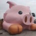 三隻小豬🐽 (@livebehappy520) Twitter profile photo 三隻小豬🐽 (@livebehappy520) Twitter profile photo