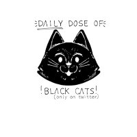 daily dose of black cats!(@daily_blackcats) 's Twitter Profile Photo