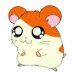 Chome_Taro's profile picture. 機械学習みたいな何か