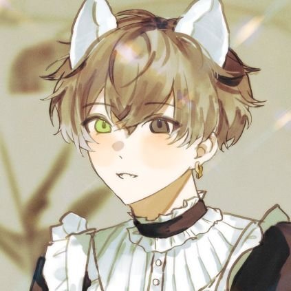 다먀🐱さんのプロフィール画像