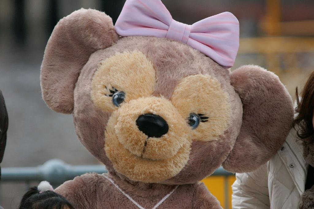 aaru_atsumori's profile picture. ああるのあつ森用アカウントです♪ こちらでもよろしくお願いしますねー