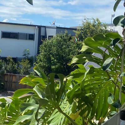 loveisevermore's profile picture. 