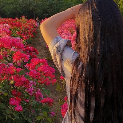 UQYanJiangJerry's profile picture. 