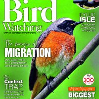 Bird Watching(@BirdWatchingMag) 's Twitter Profileg