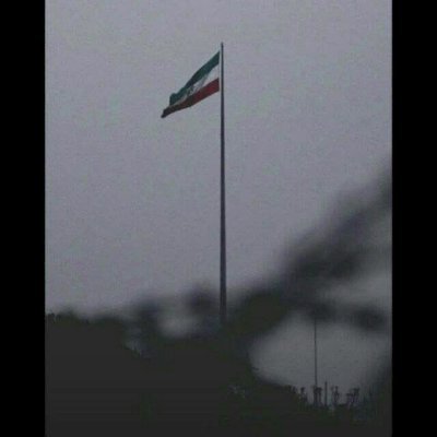 realkeyboardchi's profile picture. چنان که سایه به خورشید می رسد
دل من رفته رفته به دلدار می رسد