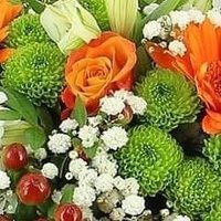 رحيق الورد 🍃💐 (@rhykwrd) Twitter profile photo