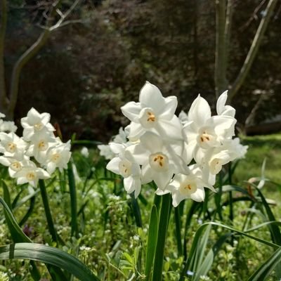 nz15tRwNTehXub5's profile picture. 