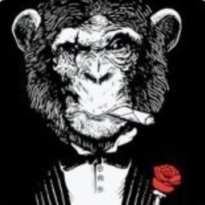 coco_mocco's profile picture. 🦁