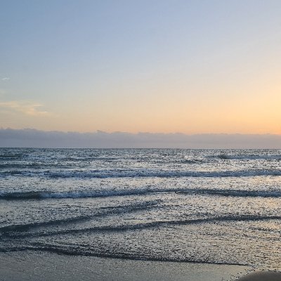 ghost_berlin's profile picture. 🎼  📚