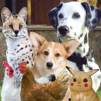 ValiantPets's profile picture. Pets of #ValiantAngels. Our Masters are brilliant! *woof* ((Click link for full list of pets))