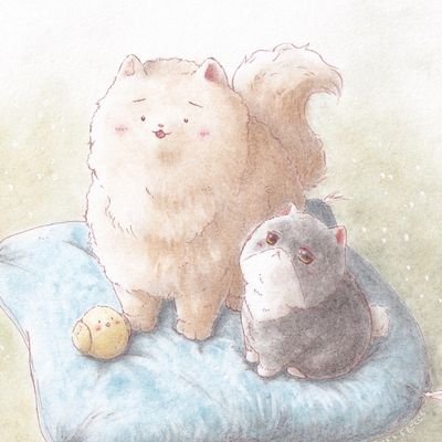 もざくじらさんのプロフィール画像