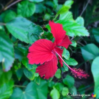 JtkURXDJuNx3V0v's profile picture. 釣りとキャンプと日常など