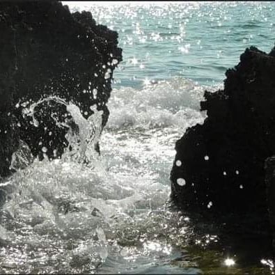 StelosPio's profile picture. 