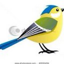 Viola Sanders - @deathbat14 - Twitter