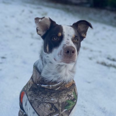 set9150's profile picture. 