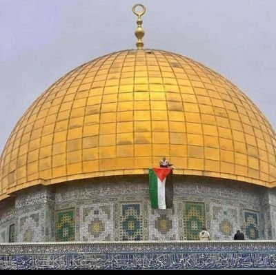 خريجة علوم قرآن ،أحاول أن أكون..،قضايا المسلمين قضيتي 💚!