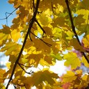 Chris Dillow - @DillowChris - Twitter