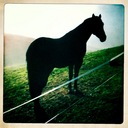 Luca Maria Castelli - @lmcastelli - Twitter