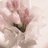 bybydibabidibu's profile image
