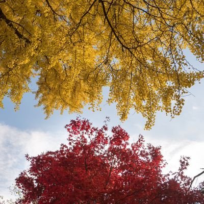 Sonu14Akash's profile picture. 