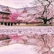 KateMcc67788674's profile picture. 