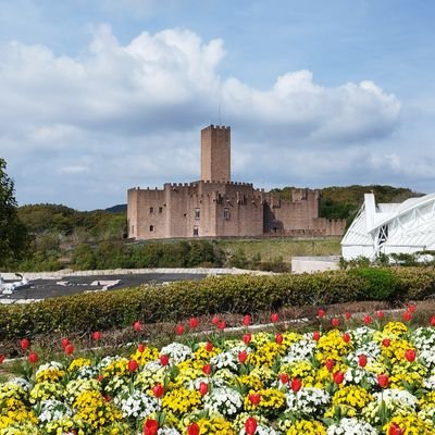 へなちょこ宅トレおじ 車中泊での城巡り旅が好き
NIKKE/城プロRE/ラスオリ