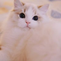なるみ🌈 (@fcvyi96216346) Twitter profile photo