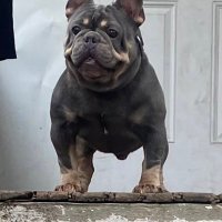 Darrell barrow (@3thehardway50) 's Twitter Profile Photo