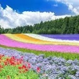 prhgm35369695's profile picture. 