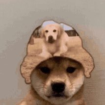 mxtsdeu's profile picture. 