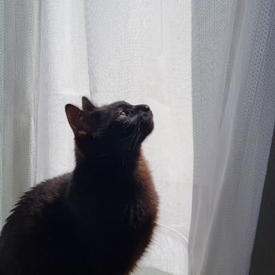 aaron99150's profile picture. 新参者の音泉民ですが優しくしてくれると嬉しいです！
現地秘湯には愛知県から毎月必ず向かいます対戦お願いします
※アロンジェッパの使い手()
↑🙅‍♂️滋賀民