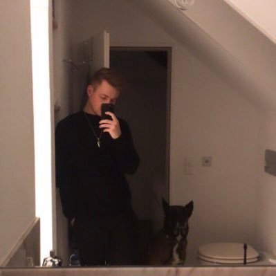 24 League and dog content / toplaner